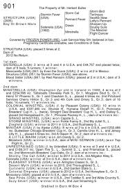 Grazie anche all'alta definizione degli schermi,. Goffs 80 Mares1 By Goffs Issuu