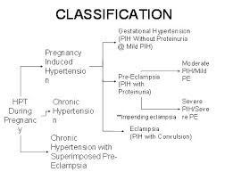 Image result for Mild PIH Management