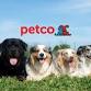 Dog Day at Petco