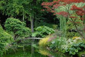 the japanese garden at the chateau de courances france backyard water feature lake garden japanese garden