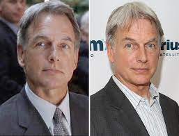 Mark harmon, freaky friday dimensions: Freaky Friday Now What The Cast Looks Like 15 Years Later