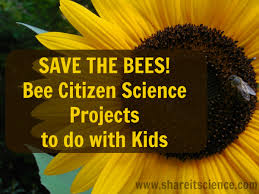 Maybe you would like to learn more about one of these? Share It Science Save The Bees Bee Citizen Science Projects For School Or Home