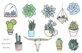 Planting succulents succulent plants succulents drawing drawing flowers hand drawn flowers easy to draw flowers simple flower drawing easy flower drawings propagate succulents. 16 Trendy Succulent Doodles Simple Succulents Drawing Succulent Art Drawing Succulent Art