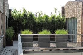 Pour Cacher Le Vis A Vis Une Haie De Bambous Haie Bambou Amenagement Jardin Jardins