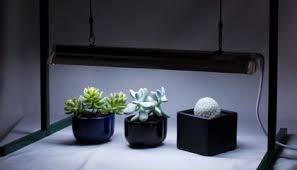 Maybe you would like to learn more about one of these? Grow Light Basics Artificial Lighting For Succulents Cacti Juicykits Com Grow Lights Pictures Of Succulents Succulent Bonsai
