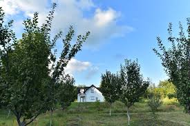 Atunci cand va doriti a vacanta relaxanta cu aer curat, este bine sa alegeti o vacanta la munte. Top 10 Pensiuni De Poveste Din Romania La PreÈ› Corect Sub 130 De Lei Pe Noapte Camera