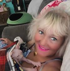 What could be causing my Sphynx cat's seizures despite good heart health?