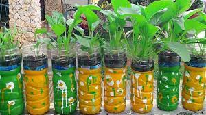 Penggunaan air sebagai media tanam. Agromedia Inilah Cara Menanam Sayuran Hidroponik Menggunakan Botol Bekas Air Mineral Agromedia