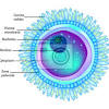 Die zeit bis zum eintreten einer schwangerschaft wird deutlich verlängert und das risiko einer. Https Encrypted Tbn0 Gstatic Com Images Q Tbn And9gcsz1psqerftwaweogshbjv7wogbkciblbhke7lxss7ln7vx2yep Usqp Cau