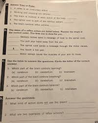 Subscribe to our free newsletters to receive latest health news and alerts to your email inbox. Solved The Main Control Center Of The Bo Rum The Brain Chegg Com