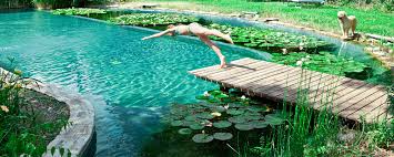 Tout Sur La Piscine Ecologique Et La Piscine Naturelle Ecohabitation