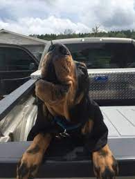 Old glory folding metal table with two stools. Steven Rozell Sdfro Profile Pinterest