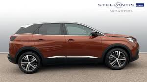 Image result for Brown Squirrel 2014 Peugeot