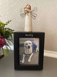 We did not find results for: Lasting Paws Pet Memorial Services Pet Cremation Services 27292 County Rd 13 Johnstown Co United States Phone Number