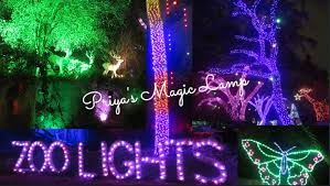 San Antonio Zoo Lights San Antonio Zoo Zoo Lights Brackenridge Park