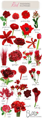 Red Wedding Flowers Did You Know There Were So Many On Wedding Photos Wedding Ideas Romantic Wedding Red Bouquet Wedding Red Wedding Flowers Red Bouquet