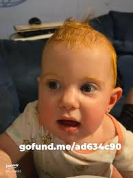 Support Trinity Hearts: Donate via GoFundMe for Cleveland Animals