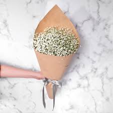 Baby Breath Lovely Bouquet Send Same Day Flowers Sendflowers Pk