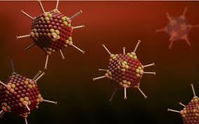 Adenovirus infections are more common in young children, owing to lack of humoral immunity. Covid 19 Vaccines Bring Hope And Challenges For Adenoviral Technology