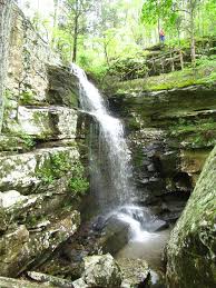 The cabins aren't too close so feels private but still can wave to the neighbors. Rim Rock S Dogwood Cabins Dixdart Profile Pinterest