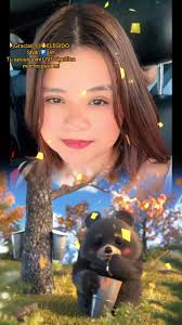 Maple Bare TikTok Gift