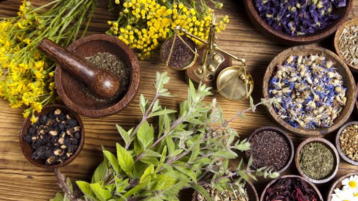 Ayurveda | Historical roots in ancient Hindu culture.