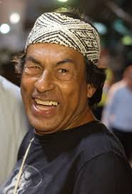 Ailton Krenak é novo imortal da ABL