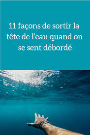 Dans l'histoire évolutive du vivant, la sortie des eaux, appelée aussi conquête des continents, conquête des terres ou terrestrialisation (terme préférable), correspond à l'adaptation progressive, au cours de l'archéen par les bactéries et au cours du paléozoïque. On Connait Tous Ces Moments Ou On A Mille Choses A Faire Et On Ne Sait Pas Par Ou Commencer Voici Donc Choses Positives Motivation Au Travail Objectifs De Vie
