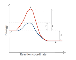 Biochem 384 Exam 3 Diagram Quizlet