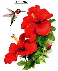 Humming Bird Hibiscus Counted Cross Stitch Pattern Computer Generated Bbxs Hibiscus Drawing Flower Drawing Flower Painting