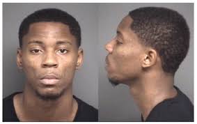 NC & Surrounding Area Rescues Adoptable Animals