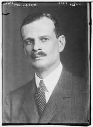 4,755 Astor Image: PICRYL