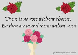 We did not find results for: Latest 2020 101 Quotes About Roses Life Love And Thorns