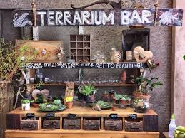 Lokomo Is Super Excited To Welcome Bleached Butterfly In Berlin Md Onto The Platform Autumn Is An Amazing Pers Garden Center Displays Floral Shop Flower Bar