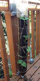 It was all created by rosenbaum design. How To Build A Vertical Garden From Soda Bottles 17 Steps Vertical Vegetable Garden Vertical Herb Garden Vertical Garden