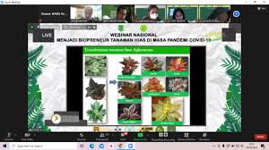 Kelompok herba ini dikelompokkan lagi yaitu : Fakultas Biologi Berikan Tips Menjadi Biopreneur Tanaman Hias Universitas Nasional