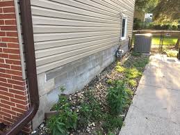 Learn more in the ecohome green home building guide. Should I Paint My Foundation The Lawn Forum
