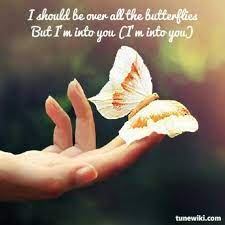 We did not find results for: The Paramore Band On Twitter I Should Be Over All The Butterflies But I M Into You Paramore Http T Co Sg6plbeucp