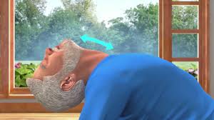 Yoga With Modi Ustrasana Hindi Youtube