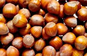 Piemonte igp e piemonte igp delle langhe.; Concorso Linfas La Nocciola Francescana Ai Vertici Agronotizie Vivaismo E Sementi