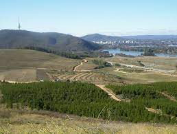 Denman village shops in the molonglo valley sets a new standard for local shopping amenities in canberra. District Of Molonglo Valley Mapio Net