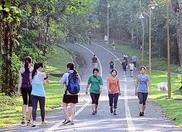 Bukit kiara is a vast forest with plenty of trails to explore. Taman Persekutuan Bukit Kiara