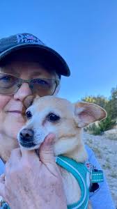 This is my dog 🐕 mini! We love her she looks more like a chihuahua, but is  definitely a dachshund mix.