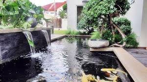 Air yang jernih juga membuat ikan koi dapat dinikmati keindahannya secara sempurna dari atas permukaan kolam. 9 Langkah Praktis Buat Kolam Ikan Di Rumah Jangan Lupa Beri Garam Dapur Ini Tujuannya Bangka Pos