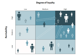 customer portfolio matrix managementmania com