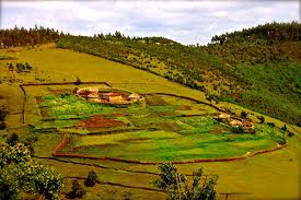 Image result for burundi
