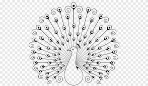 peafowl drawing coloring book stick figure peacock animals peacock feather png pngegg peafowl drawing coloring book stick