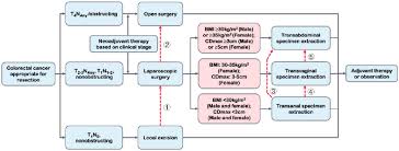 The Flow Chart For The Selection Of Natural Orifice Specimen