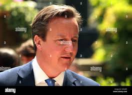 Prime minister david cameron reception hi-res stock photography and images 