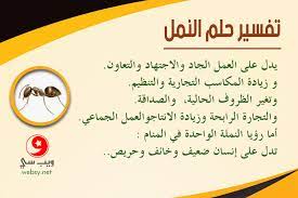 وقد ال سي ميديا بلاير حتى الإضافات ويب التي تتوفر لجميع أنواع المتصفحات، الذي يسمح بعرض كافة المحتوى ومتوافق مع ال سي. ØªÙØ³ÙŠØ± Ø­Ù„Ù… Ø§Ù„Ù†Ù…Ù„ Ø§Ù„Ø§Ø³ÙˆØ¯ Ø§Ù„ØµØºÙŠØ± Ù„Ùˆ Ø´ÙØªÙ‰ Ù†Ù…Ù„ ÙÙ‰ Ø§Ù„Ø­Ù„Ù… ÙŠØ¨Ù‚Ù‰ Ù„Ø§Ø²Ù… ØªØ¯Ø®Ù„Ù‰ Ù…ÙˆØ¶ÙˆØ¹Ù‰ Ø¨Ø³Ø±Ø¹Ù‡ Ø·Ù‚Ø·Ù‚Ù‡